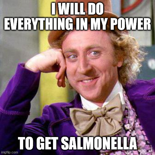 a meme of willy wonka saying 'i will do everything in my power to get salmonella'